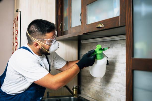 Best Termite Control Services  in Champion Heights, OH
