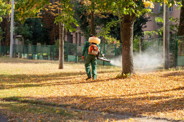 Best Local Pest Control Services  in Champion Heights, OH