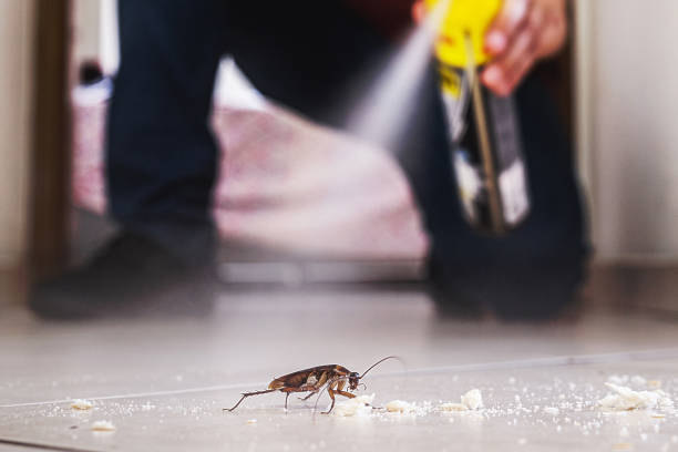 Best Residential Pest Control  in Champion Heights, OH