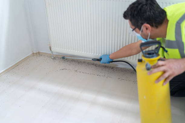Best Best Pest Control Companies  in Champion Heights, OH