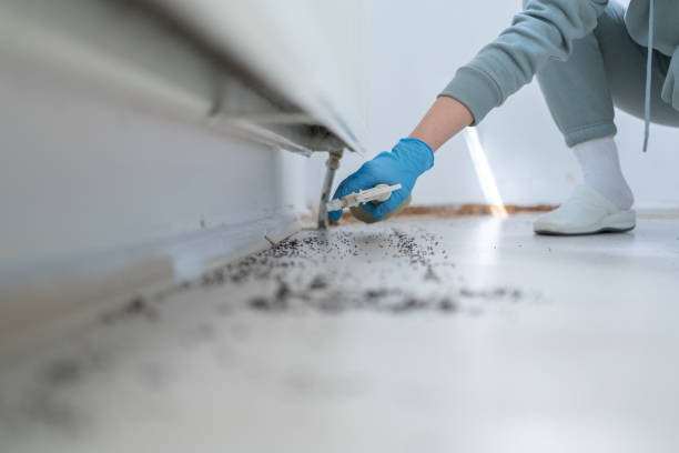 Best Ant Control Services  in Champion Heights, OH
