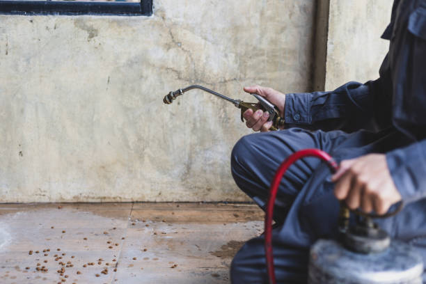 Best Affordable Pest Control Services  in Champion Heights, OH